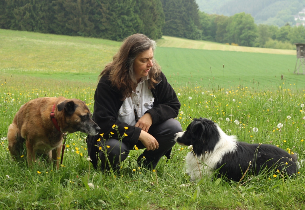 Beendigung der Hundetrainerin-Tätigkeit