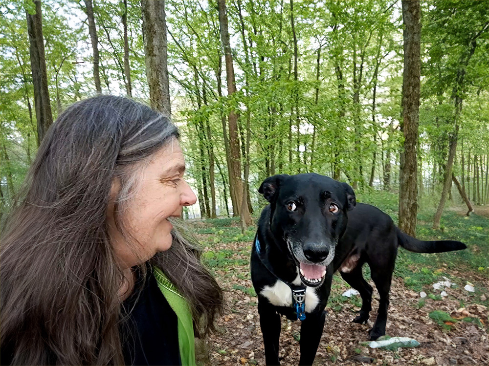 Mein Hund ist nicht normal