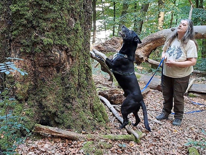 Beziehung, Bewegung, Beschäftigung