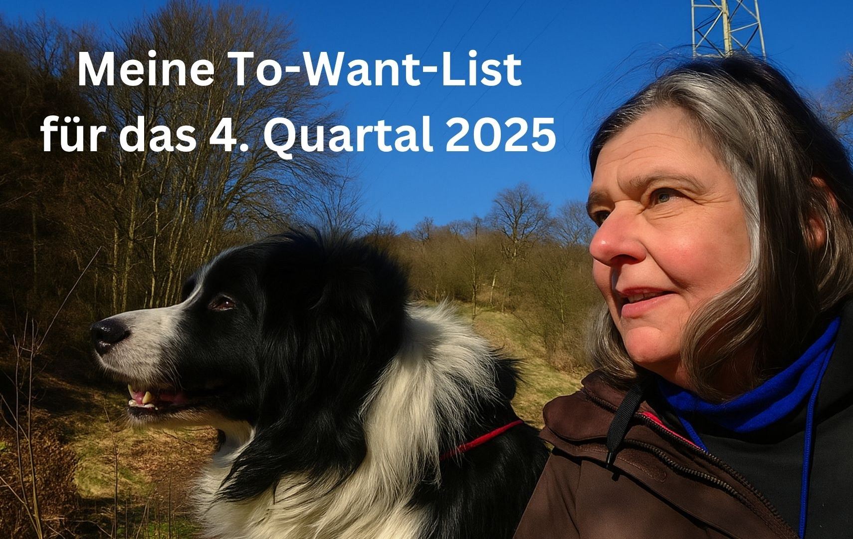 Meine Ziele 4. Quartal 2025