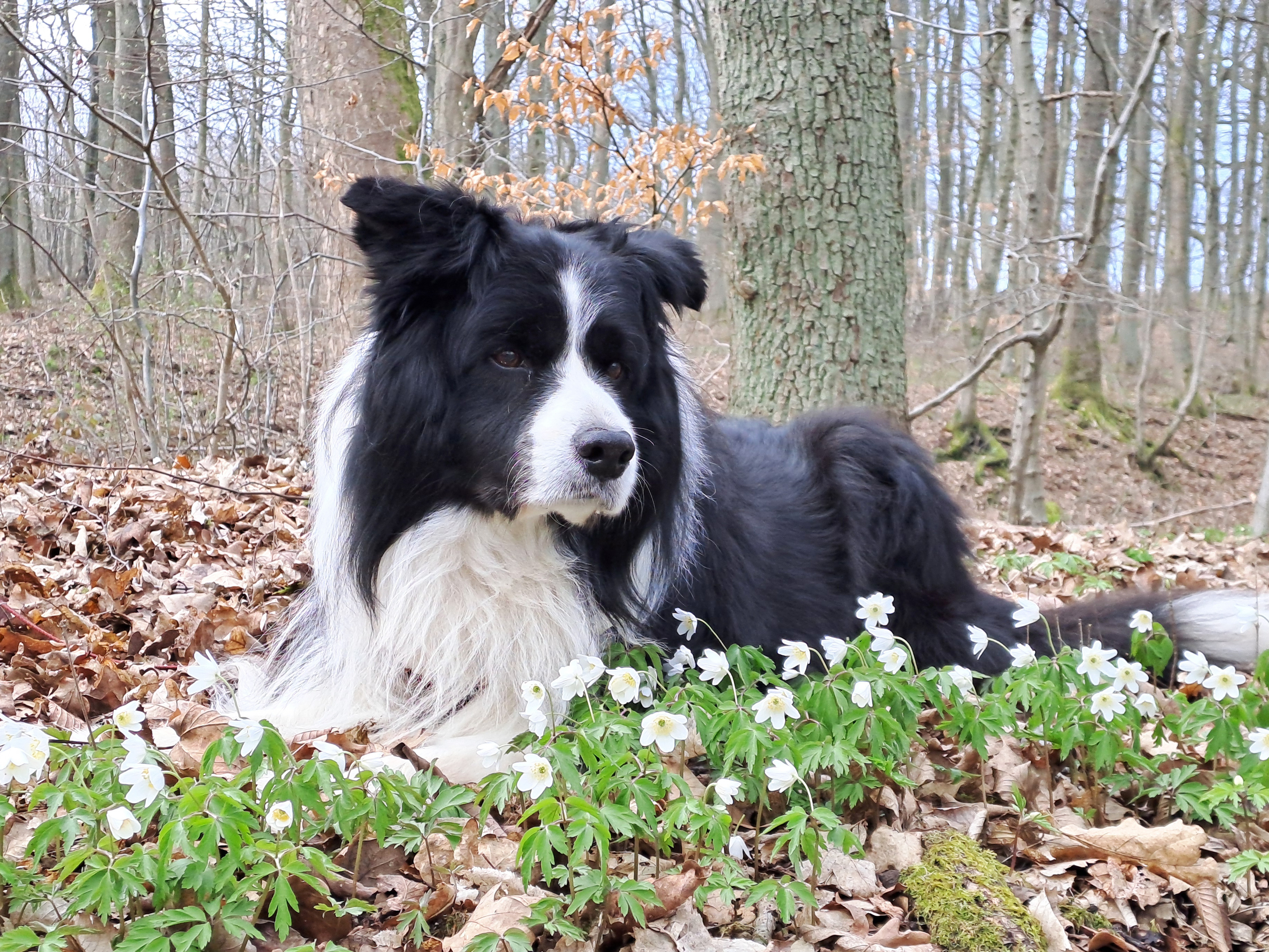 Frühling – Nichts wie raus!