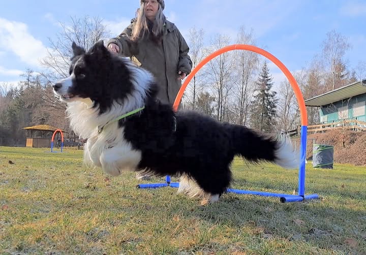 Kurze kreative Pause